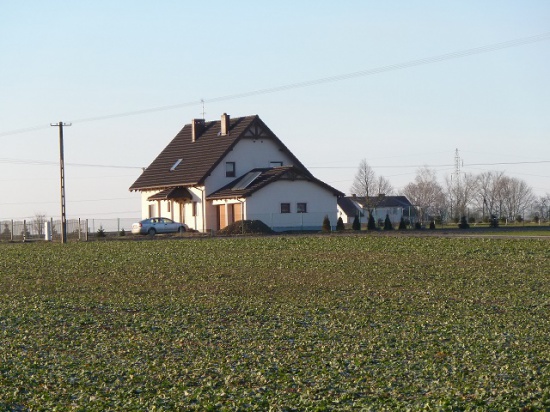 Sprzedam tanio ziemię pod Toruniem 